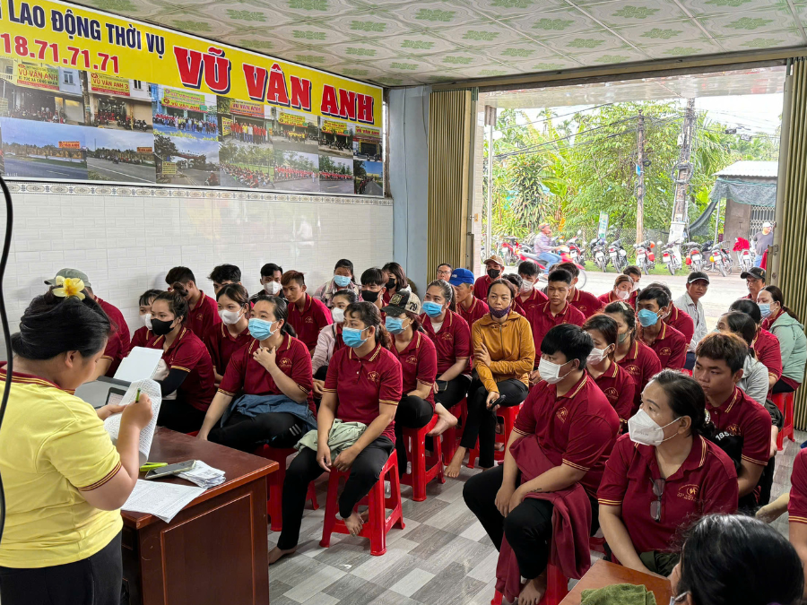 Cung ứng lao động thời vụ