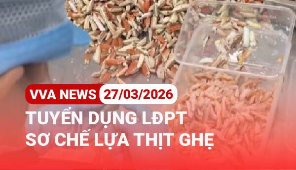 VVA tuyển lao động sơ chế ghẹ tại Tân Mỹ Chánh – Mỹ Tho – Tiền Giang